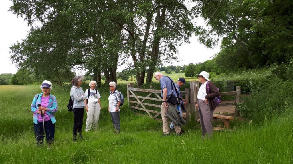 A group of walkers standing in a field by a fence.