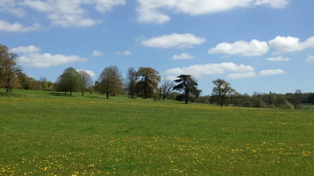 Spring in Coleshill Park